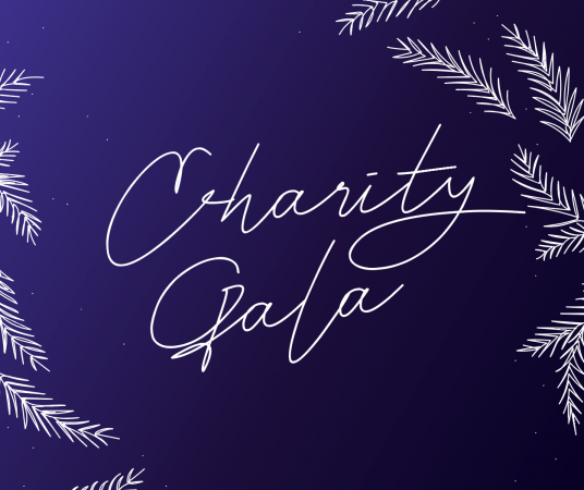 Gallery 1 - Charity Gala