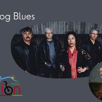 Bluedog Blues Patio Performance