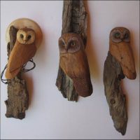Carving Owls