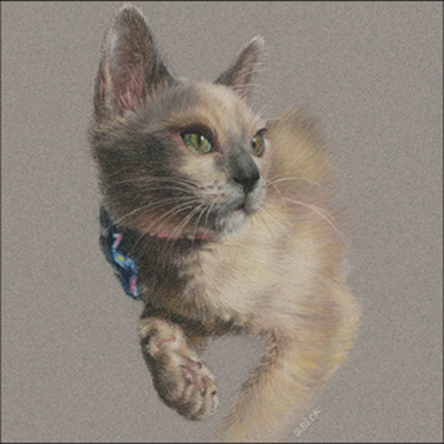 Pet Portraits from Photo Reference with Suzann Beck