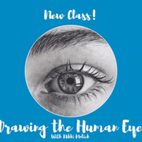 Drawing the Human Eye