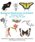 Biological Illustration on Exhibit