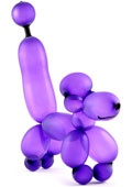 Balloonolgy