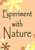 Experiment with Nature