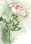 Summer Watercolors with Shayann Hoffer